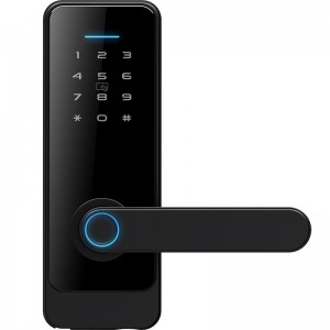 LOCSTAR C89 Smart Fingerprint Password Lock Home Indoor Door TUYA System Lock  Black
