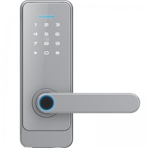 LOCSTAR C89 Smart Fingerprint Password Lock Home Indoor Door TUYA System Lock  Silver