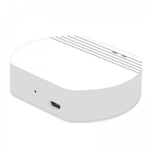 Ewelink Whole House Smart Home ZigBee Wireless Gateway with SONOFF Gateway Devices  EV  WG  2